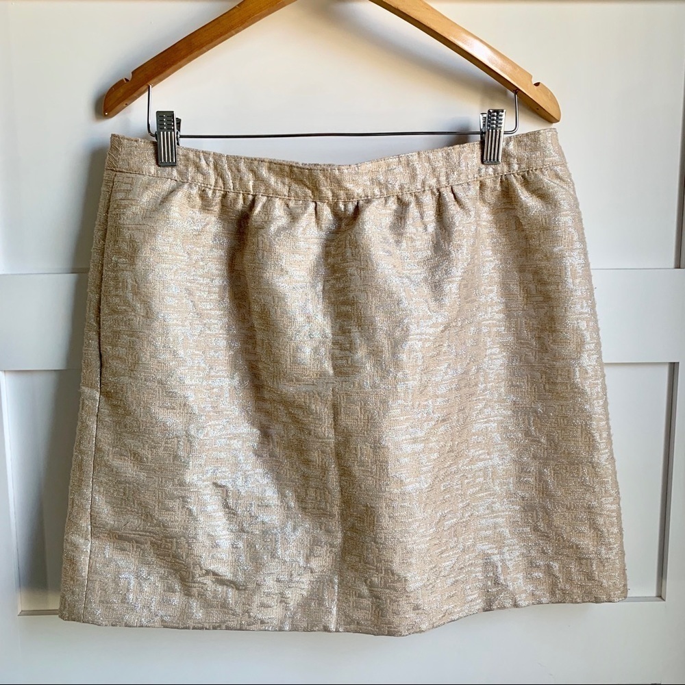 LOFT | NWT Champagne Silver Skirt POCKETS sz 12